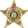 Sheriff Badge No BG